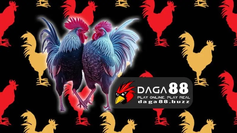 DAGA88 - Xem đá gà trực tiếp chất lượng số 1 tại Đá Gà 88 Các tính năng vượt trội của Đá gà 88
