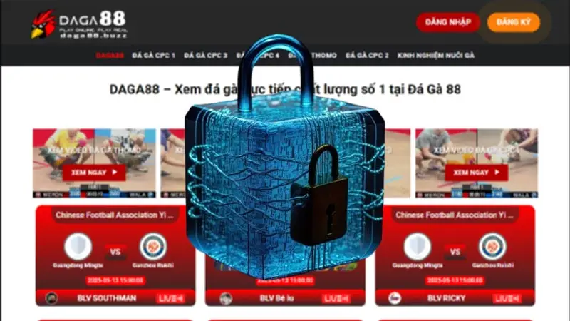 Chính sách bảo mật cho người xem đá gà trực tuyến Chính sách bảo mật cho người xem đá gà trực tuyến